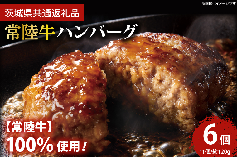 【茨城県鹿嶋市】常陸牛100% ハンバーグ 約120g×6個 【牛肉 国産牛 黒毛和牛 和牛 国産黒毛和牛 ブランド牛肉 ブランド牛 お肉 A4ランク A5ランク 鹿嶋市 鹿嶋 茨城県】(KCW-9)