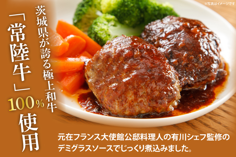 常陸牛ビーフシチュー(180g×2)＆常陸牛100％煮込みハンバーグ(200g×2)セット（AA219）