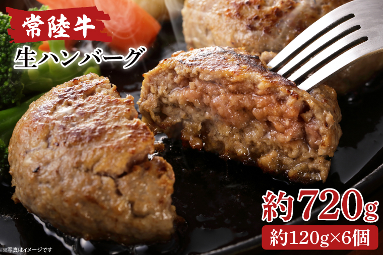 常陸牛生ハンバーグ　120g×6【ひたちぎゅう お肉 焼くだけ ジュージー】(AA216)