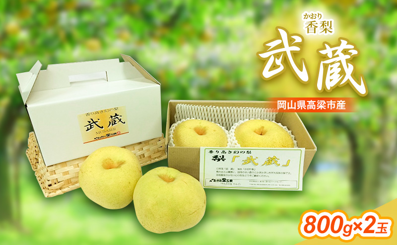 早期受付 香梨 武蔵 約800g×2玉 岡山 和梨 梨 なし ナシ 新興 幸水