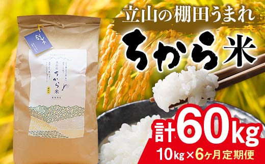 【6回 定期便 】立山のちから米 コシヒカリ 10kg×6回 総計60kg たてやま 米 こめ お米 コメ 精米 白米 こしひかり 美味しい 富山県 立山町 F6T-541