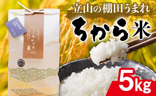 【富山県立山町】立山のちから米 コシヒカリ 5kg こしひかり 銘柄米 ブランド米 国産 米 お米 日本米 ギフト 贈り物 備蓄 防災 食品 F6T-536