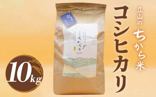 立山のちから米 コシヒカリ 10kg こしひかり 銘柄米 ブランド米 国産 米 お米 日本米 ギフト 贈り物 備蓄 防災 食品 F6T-537