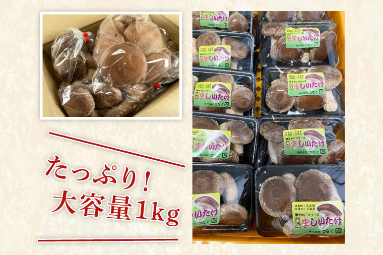 特選菌床生しいたけ1kg【椎茸 シイタケ 肉厚 無農薬】(CE202)