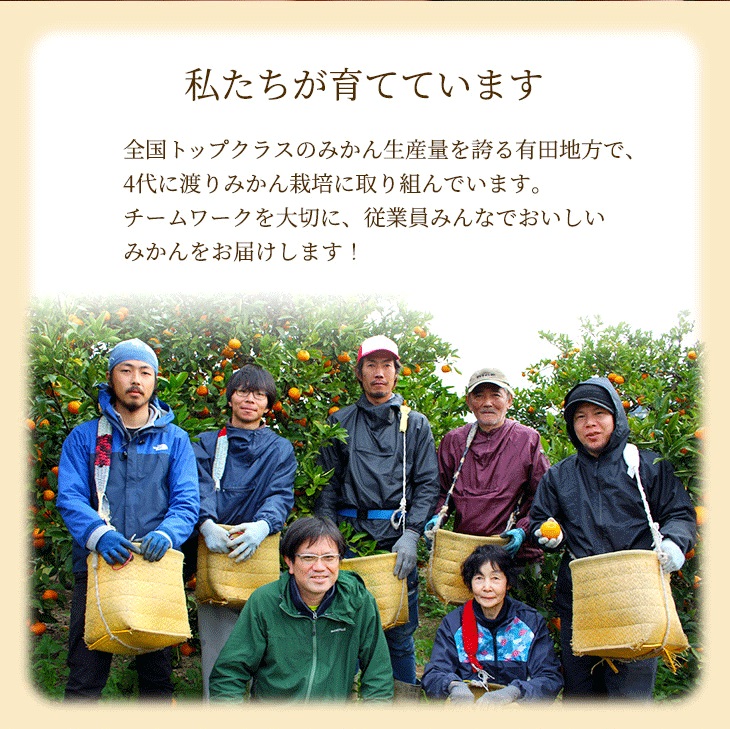 〈2026年1月より発送〉家庭用 蔵出しみかん 10kg+250g（傷み補償分）【有田の蔵出しみかん】【光センサー選果】◇※北海道・沖縄・離島への配送不可 ※2026年1月中旬～2月下旬頃に順次発送予定