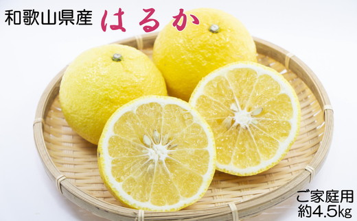 【さわやか柑橘】和歌山県産はるかみかん約4.5kg（サイズ混合　ご家庭用）※2026年2月下旬～3月下旬頃に順次発送予定