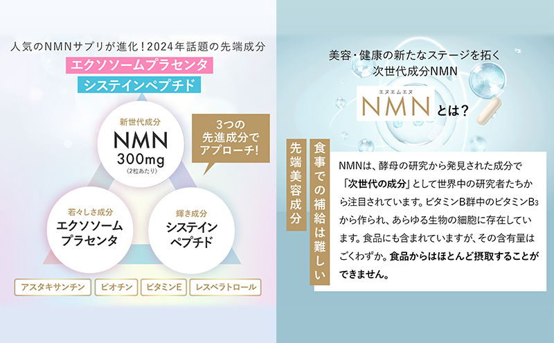 岐阜県池田町のふるさと納税 ハルクファクター NMN 9300mg 大容量 31日分 エイジングケア サプリメント 抗酸化 ビタミンC サプリ レスベラトロール プラセンタ アスタキサンチン マルチビタミン 栄養機能食品 国産 人気 美容 加工食品 健康食品