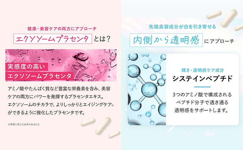 岐阜県池田町のふるさと納税 ハルクファクター NMN 9300mg 大容量 31日分 エイジングケア サプリメント 抗酸化 ビタミンC サプリ レスベラトロール プラセンタ アスタキサンチン マルチビタミン 栄養機能食品 国産 人気 美容 加工食品 健康食品