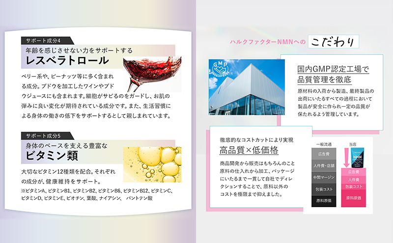岐阜県池田町のふるさと納税 ハルクファクター NMN 9300mg 大容量 31日分 エイジングケア サプリメント 抗酸化 ビタミンC サプリ レスベラトロール プラセンタ アスタキサンチン マルチビタミン 栄養機能食品 国産 人気 美容 加工食品 健康食品