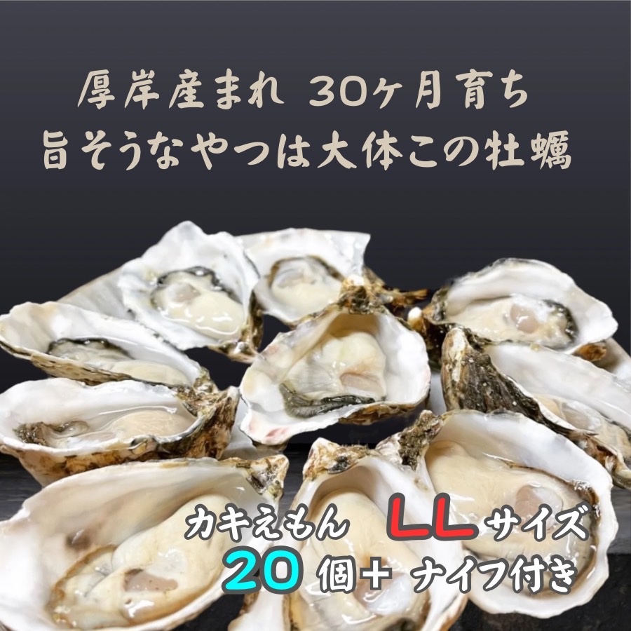厚岸で産まれ30ヵ月育成 北海道 厚岸産 牡蠣 カキえもん LLサイズ 20個 カキ 