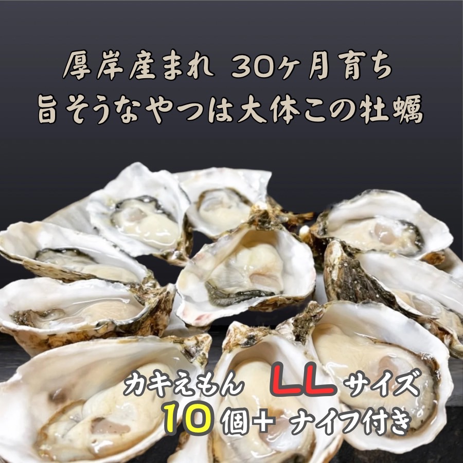 ykCݒz݂ŎY܂30琬 kC ݎY y JL LLTCY 10 JL