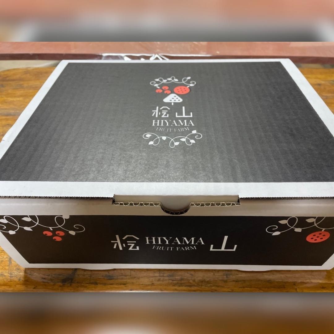 茨城県桜川市のふるさと納税 【2025年9月上旬発送開始】茨城県産 『幻の 梨 』 秀玉 約 3kg 6玉 ～ 9玉 【茨城県共通返礼品／常陸太田市】桧山果樹園 農家直送 桧山果樹園 農家直送 フルーツ  甘い 直送 茨城 限定 ギフト 梨 秀玉 しゅうぎょく 果物 [DU005sa]