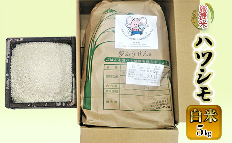 �y�򕌌��֔V�����z�֔V�����Y�@���I�ăn�c�V���@����5kg