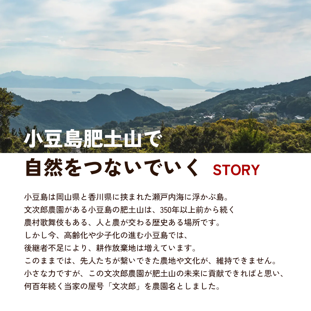 【 小豆島 】文次郎農園 小豆島100％ みかんのわいん すぱーくりんぐ 750ml  お酒 酒 ワイン みかん 蜜柑 ミカン 温州みかん 香川 香川県 土庄 土庄町