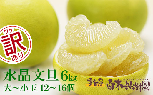 【高知県土佐市】水晶文旦 ご家庭用お得箱 約6kg Mサイズ〜4Lサイズ(12〜16個入り) 訳あり ワケあり 訳 傷 キズ へこみ 文旦 ブンタン ぶんたん 水晶文旦 果物 柑橘 フルーツ 家庭用 ご自宅用