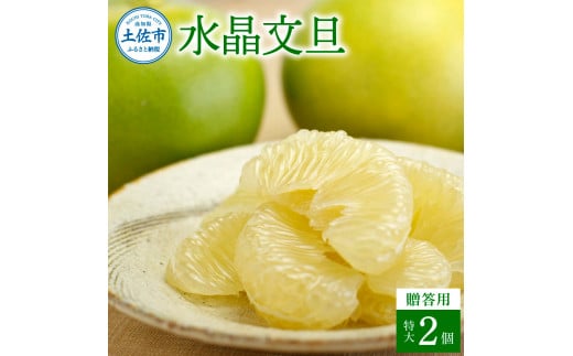 【高知県土佐市】水晶文旦 特選ご贈答用 特大 約1.5kg(2個入) ぶんたん ブンタン 水晶文旦 果物 柑橘 フルーツ 特大サイズ お取り寄せ 特産品 美味しい 高知県産 美味しい ギフト 贈答品 贈り物