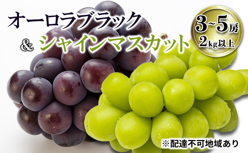 【岡山県里庄町】【2026年先行予約】 ご家庭用 ぶどう 岡山県産オーロラブラック&シャインマスカット 3〜5房(2kg以上) 《2026年7月下旬-8月下旬頃出荷》 葡萄 ブドウ フルーツ 果物 スイーツ 数量限定 期間限定 里庄町 リアム farm