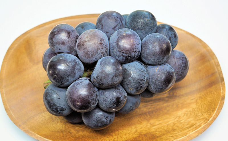 【2026年先行予約】 ご家庭用 ぶどう 岡山県産オーロラブラック＆シャインマスカット 3～5房（2kg以上) 《2026年7月下旬-8月下旬頃出荷》 葡萄 ブドウ フルーツ 果物 スイーツ 数量限定 期間限定 里庄町 リアム farm