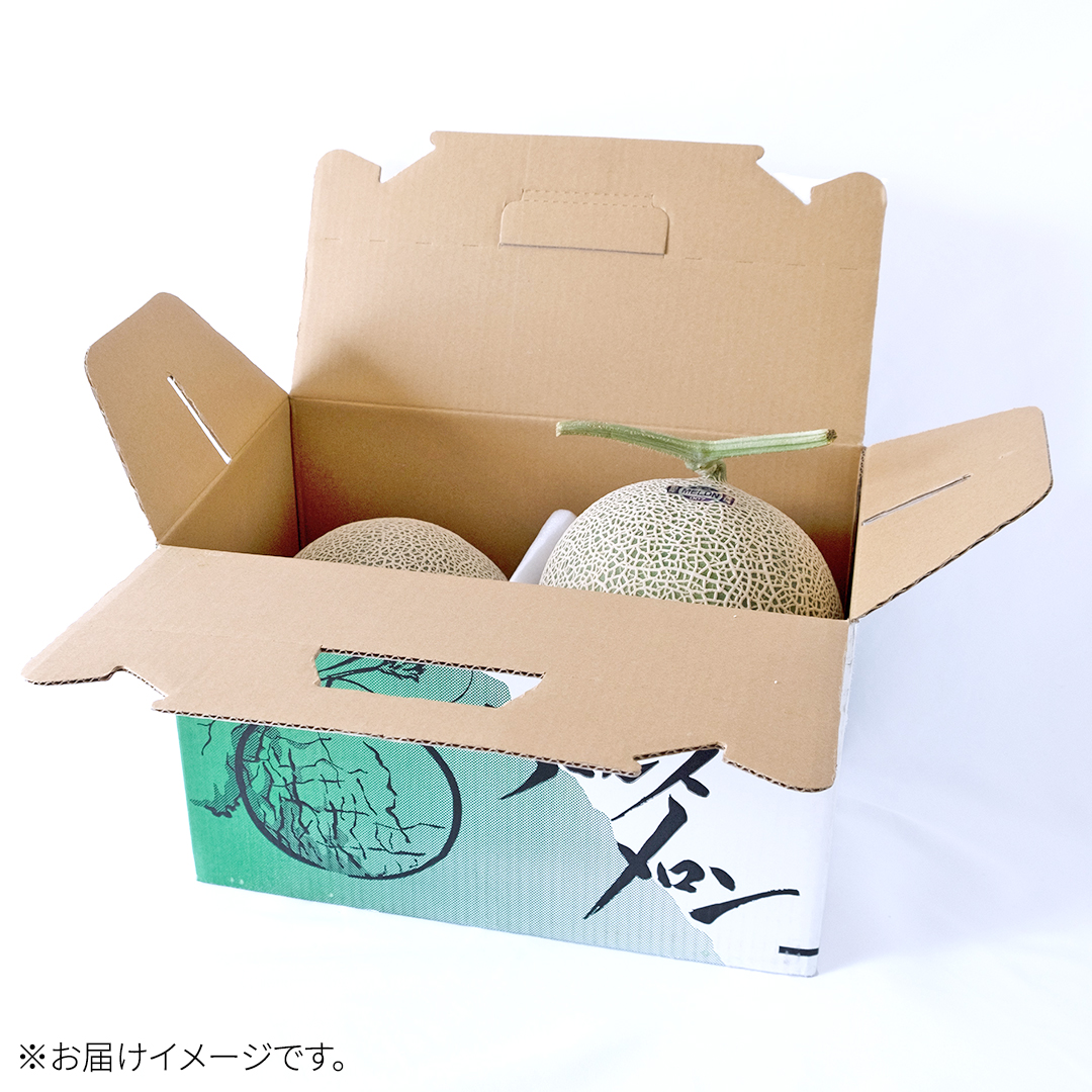 茨城県筑西市のふるさと納税 完熟 アールスメロン 2玉 2025年産 先行予約 メロン マスクメロン 青肉 果物 フルーツ 茨城県産 期間限定 数量限定 [AF003ci]