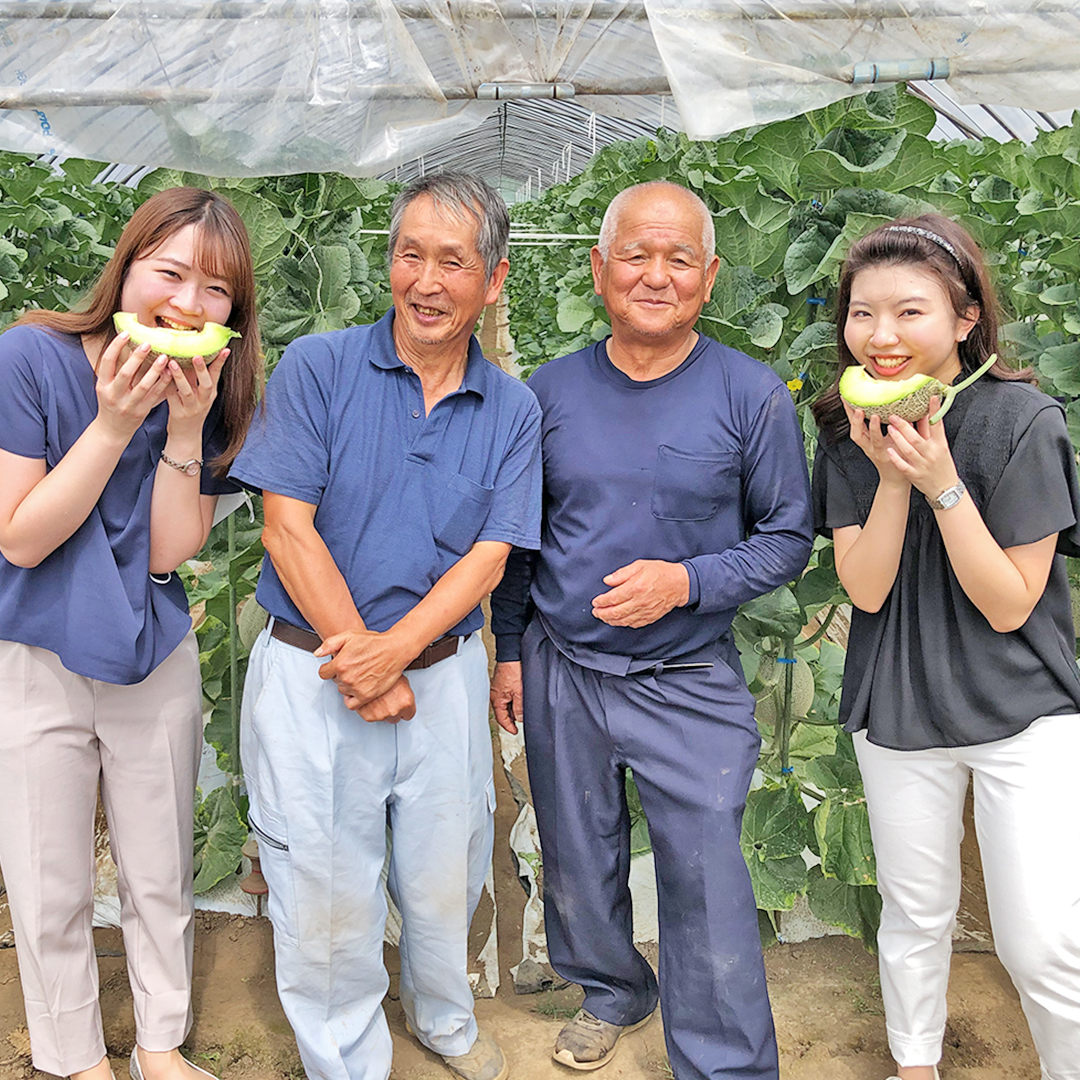 茨城県筑西市のふるさと納税 完熟 アールスメロン 2玉 2025年産 先行予約 メロン マスクメロン 青肉 果物 フルーツ 茨城県産 期間限定 数量限定 [AF003ci]