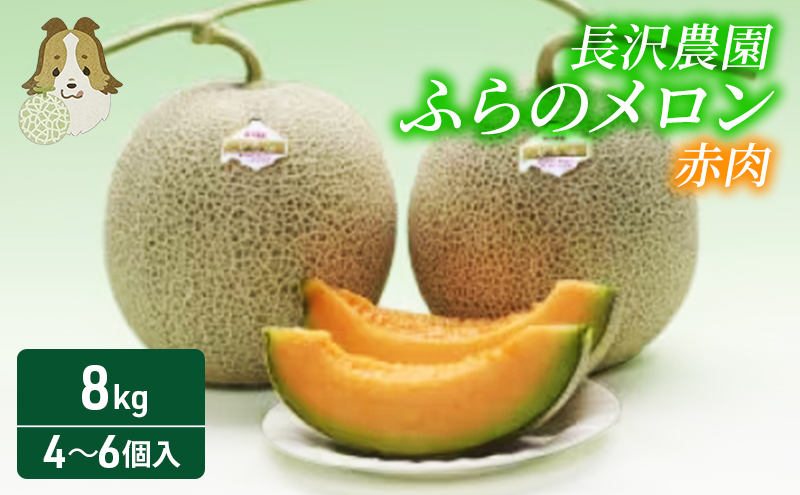 ykCxǖszyst  2026Nzӂ̃ ԓ  W{ 4`6ʃZbg v8kg kC xǖ   ʕ t[c Mtg _