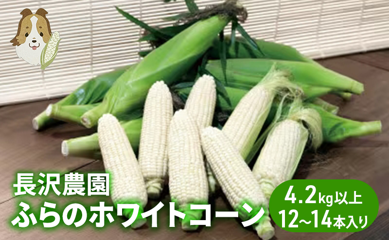 ykCxǖszyst  2026Nzӂ̃zCgR[ v 4.2kg ȏ (12`14{)  Ƃ낱 zCgNXs[  kC xǖ ӂ Mtg _
