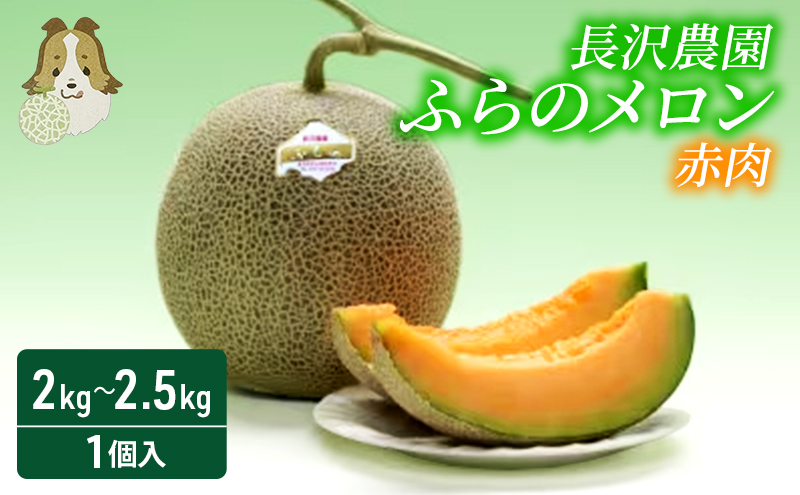 ykCxǖszyst  2026Nzӂ̃ ԓ  W{ 1ʓ (2kg`2.5kg) kC xǖ   ʕ t[c Mtg _