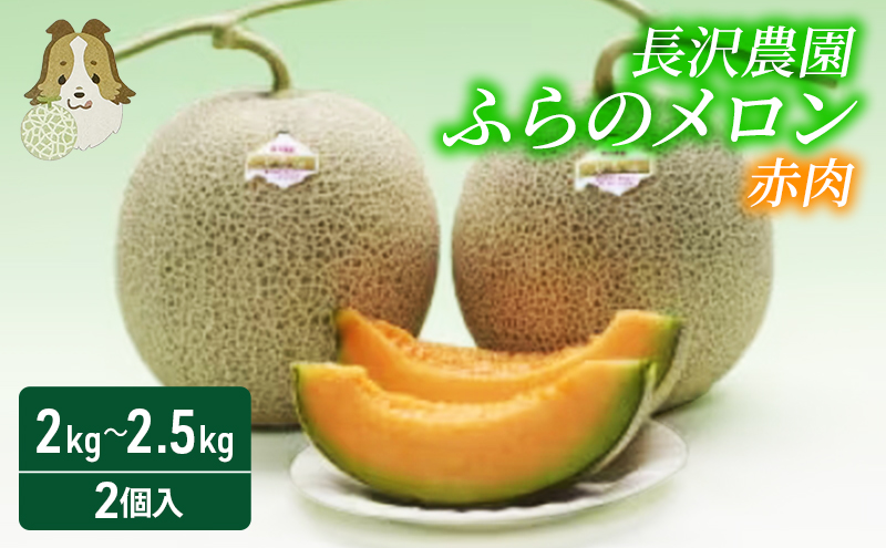 ykCxǖszyst  2026Nzӂ̃ ԓ  W{ 2 Zbg (1 2.0kg`2.5kg) kC xǖ   ʕ t[c Mtg _