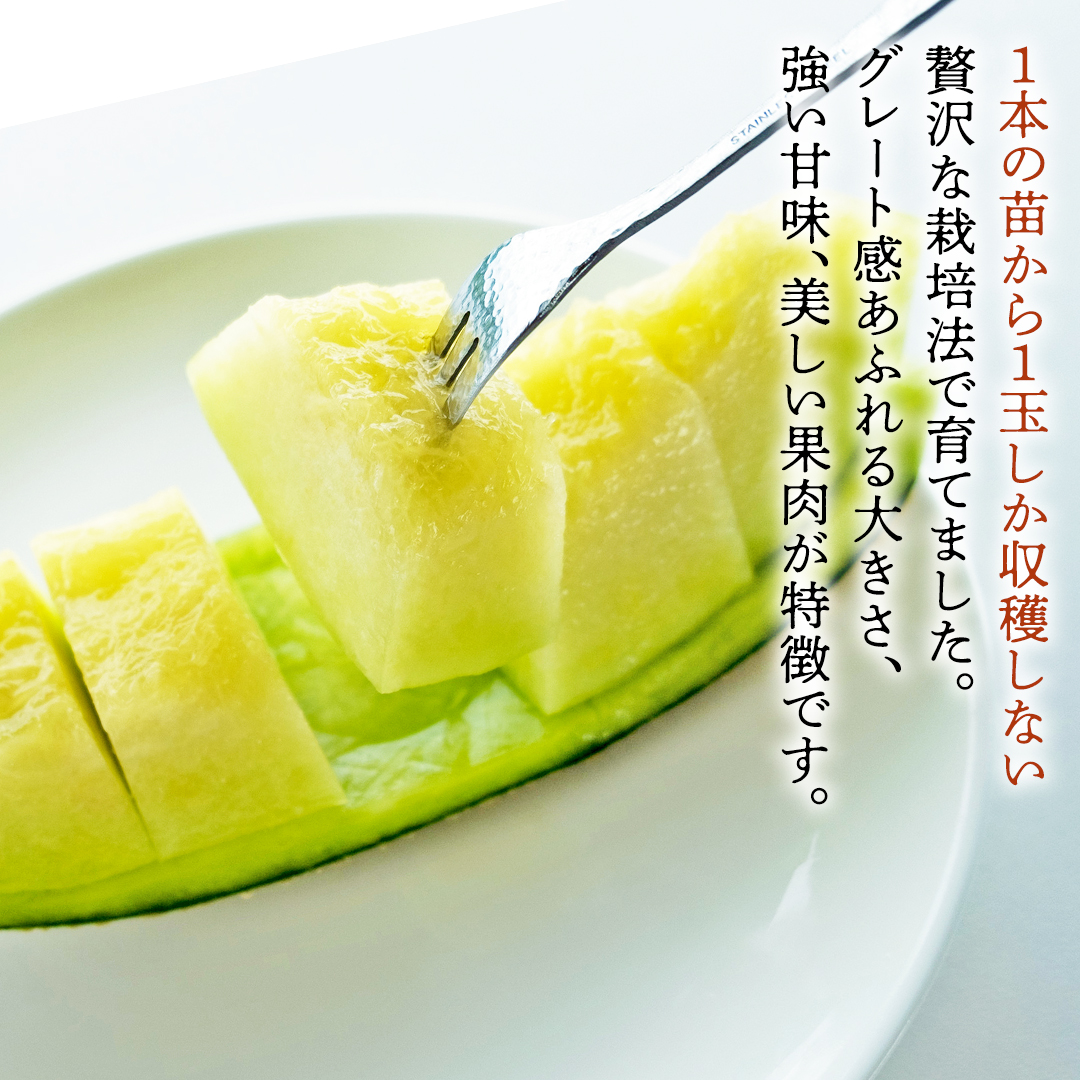 完熟 アールスメロン 3玉 2025年産 先行予約 メロン マスク