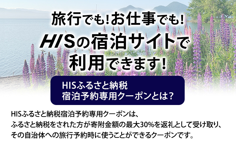 HISふるさと納税宿泊予約専用クーポン（北海道洞爺湖町）【15,000円分】 宿泊 ホテル 観光 