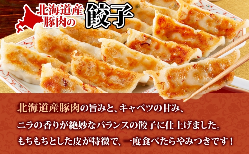 【 ふるさと納税 】楽楽食品 北海道産豚肉の餃子 120個 北海道産 日本産 国産 国産豚肉 豚肉 ポーク ギョウザ ぎょうざ 中華 中華料理 惣菜 お惣菜 おかず 焼き餃子 揚げ餃子 水ギョウザ 水餃子 餃子鍋 アレンジ 簡単調理 お取り寄せ 送料無料 北海道 滝川市