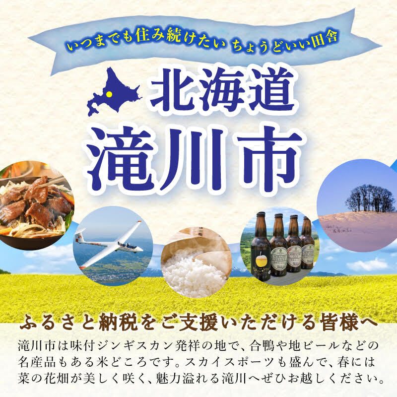 北海道滝川市のふるさと納税 大雪地ビール 滝川クラフトビール 3種 飲み比べ 各2本 計6本｜北海道 滝川市 ビール クラフトビール セット 詰め合わせ 詰合せ 地ビール