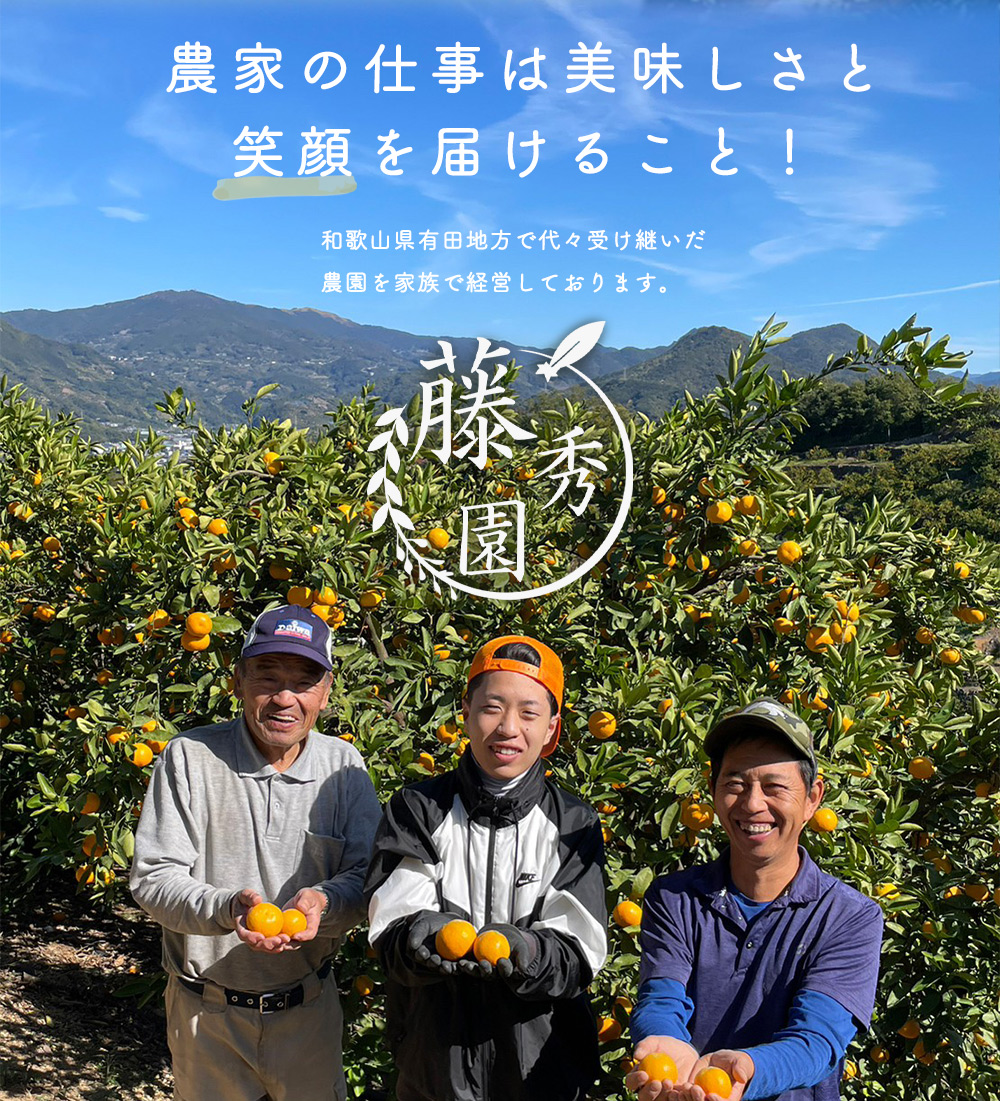 ZT6300_こだわりの 有田みかん 大玉 5kg (2L～3Lサイズ)【訳あり 家庭用】