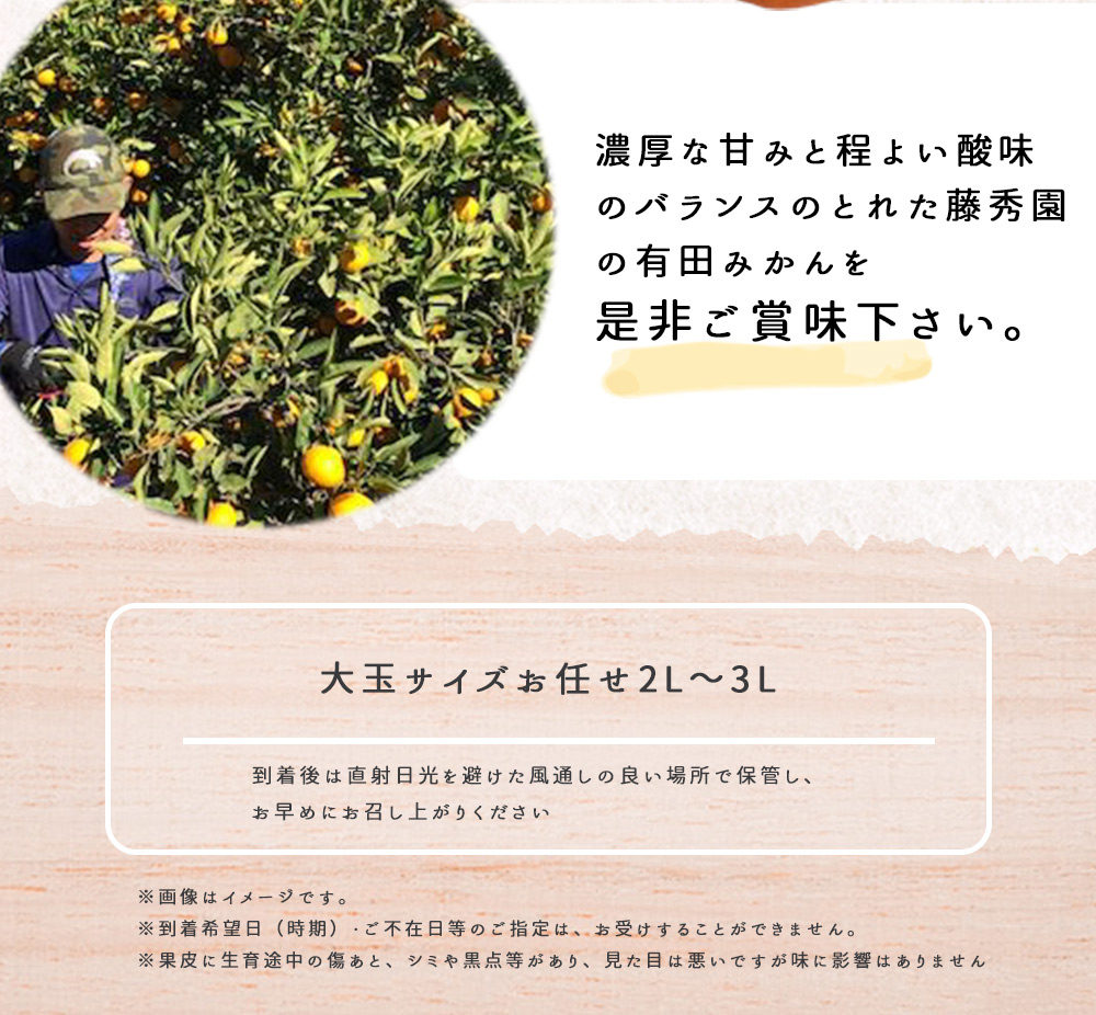 ZT6300_こだわりの 有田みかん 大玉 5kg (2L～3Lサイズ)【訳あり 家庭用】