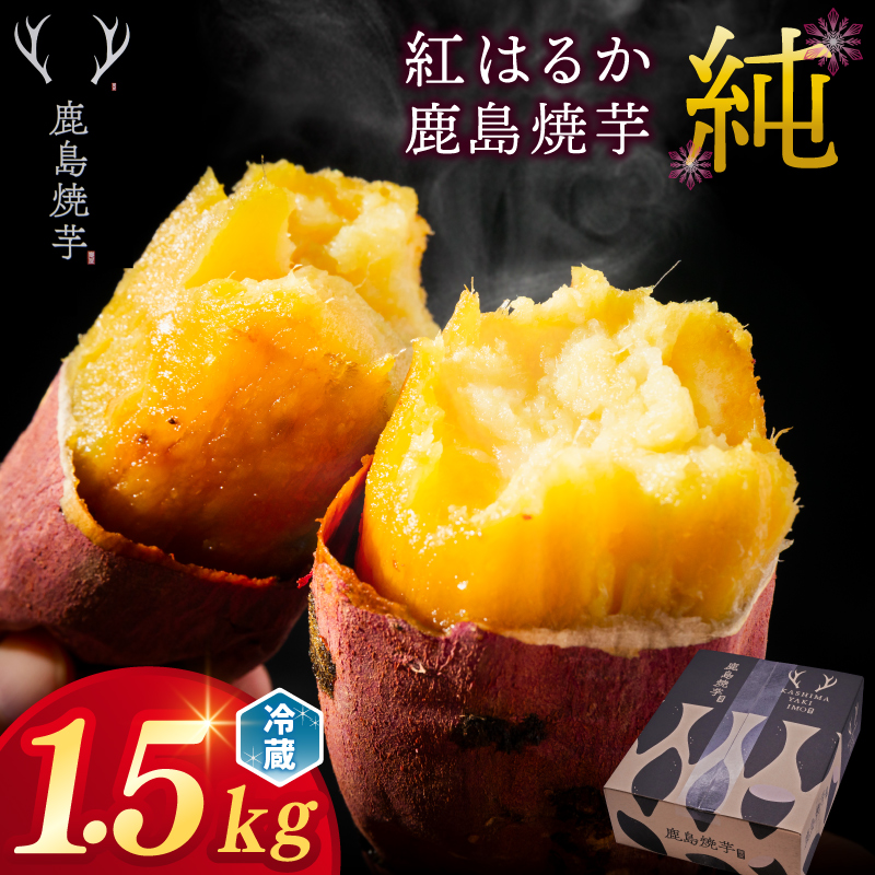 ★令和7年産 新芋★【人気返礼品】鹿島焼芋 純 1.5kg【冷蔵 ひやし 焼き芋 やきいも さつまいも 芋 お菓子 おやつ デザート スイーツ 和菓子 和スイーツ 鹿嶋市 茨城県】（KBK-8-2）