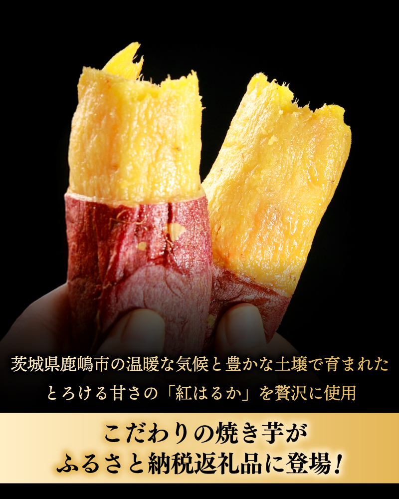 ★令和7年産 新芋★【人気返礼品】鹿島焼芋 純 1.5kg【冷蔵 ひやし 焼き芋 やきいも さつまいも 芋 お菓子 おやつ デザート スイーツ 和菓子 和スイーツ 鹿嶋市 茨城県】（KBK-8-2）
