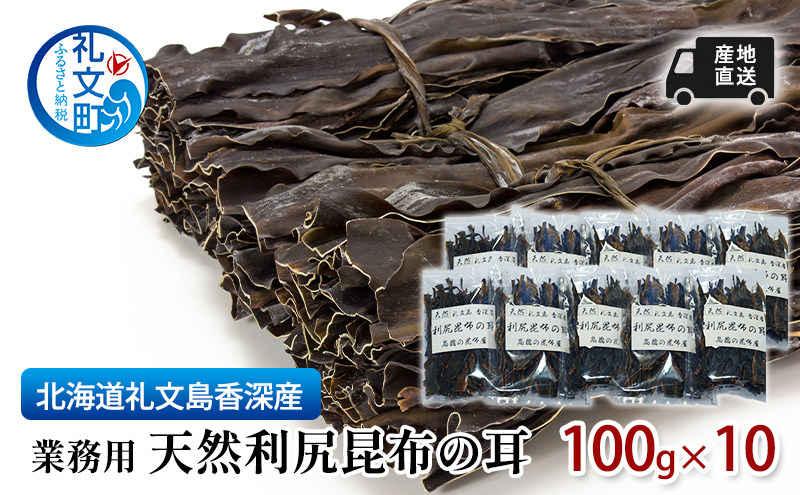 北海道 礼文島  香深産 業務用 産地直送天然利尻昆布の耳 100g×10 昆布 だし 