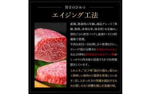 土佐和牛詰め合わせ8種Aセット 長期熟成肉 8種 詰め合わせ セット 田野屋銀象 完全天日塩付き