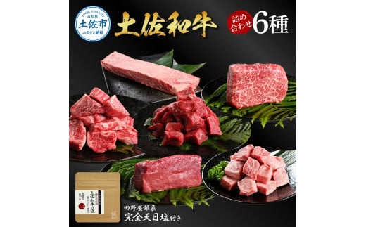 【高知県土佐市】土佐和牛詰め合わせ6種 長期熟成肉 6種 詰め合わせ セット 田野屋銀象 完全天日塩付き 牛肉 肉 お肉 和牛 国産 牛 赤身 ヒレ カルビ ロース ブロック サイコロステーキ 熟成肉 豪華 贅沢