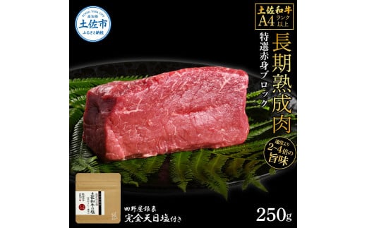 【高知県土佐市】土佐和牛 特選赤身ブロック250g 田野屋銀象完全天日塩1P付き 長期熟成肉 田野屋銀象 完全天日塩付き 赤身 牛肉 ブロック 肉 お肉 和牛 国産 牛 熟成肉 ブロック肉 豪華 贅沢 真空パック
