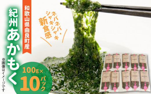 BB6200_紀州あかもく（由良町産）100g×10パック（2025年産）