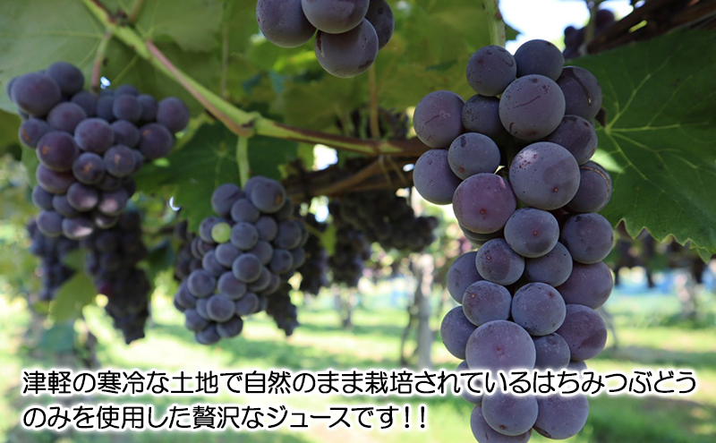 芽実農園のぶどうジュース(はちみつぶどう100％) 720ml×6本 青森県鶴田町産はちみつぶどう使用 果汁飲料 野菜飲料 ブドウ 