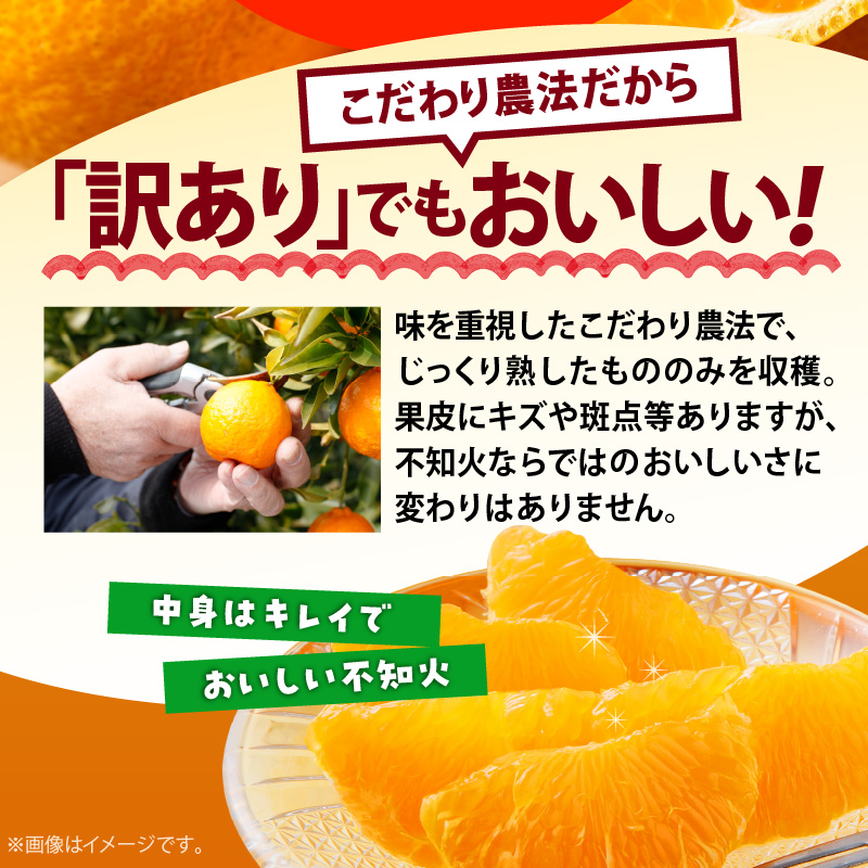 和歌山有田産不知火 家庭用 Lサイズ 10kg AB6035_有田育ちの濃厚 不知火 （デコポンと同品種）（訳あり