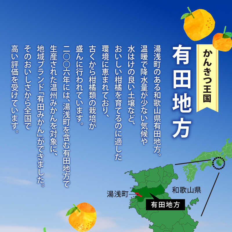 和歌山有田産不知火 家庭用 Lサイズ 10kg AB6035_有田育ちの濃厚 不知火 （デコポンと同品種）（訳あり