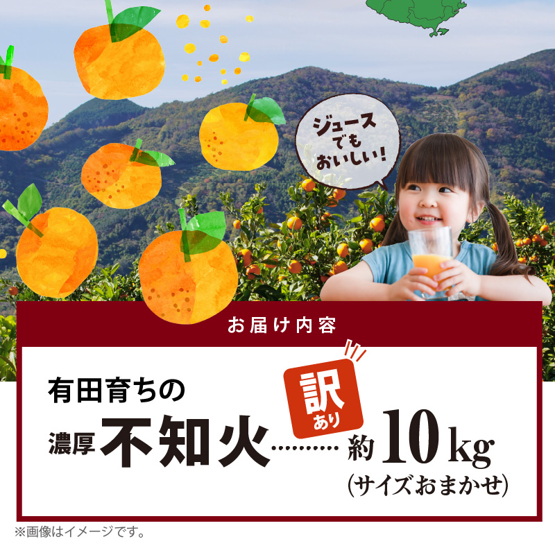 和歌山有田産不知火 家庭用 Lサイズ 10kg AB6035_有田育ちの濃厚 不知火 （デコポンと同品種）（訳あり