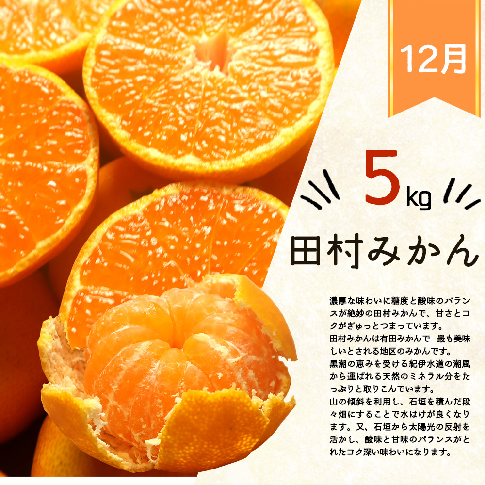 G60-T74_【定期便 全3回】紀州和歌山産旬の柑橘セット（田村みかん・はるみ・不知火）