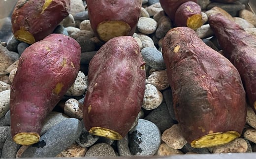 【訳アリ】淡路島産サツマイモ 5kg【栽培期間中、無農薬栽培】焼き芋・スイーツ作りに