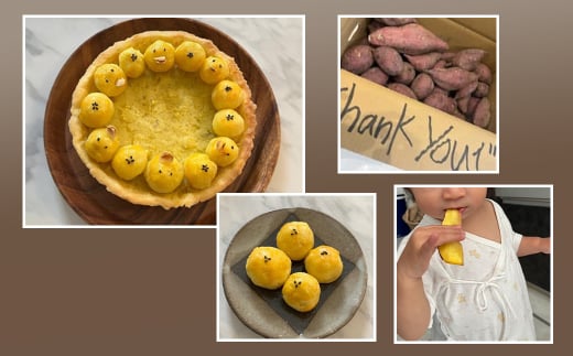 【訳アリ】淡路島産サツマイモ 5kg【栽培期間中、無農薬栽培】焼き芋・スイーツ作りに