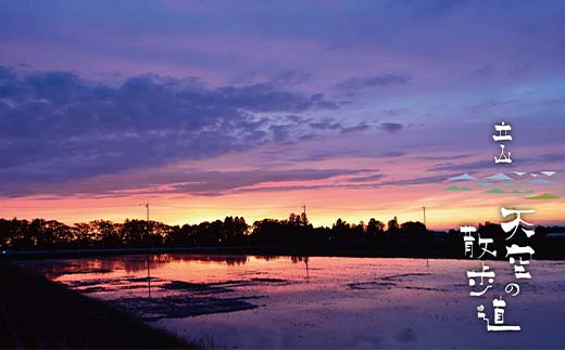 【先行予約】令和7年産 立山 天空の散歩道 吟撰米 精米 合計10kg 5kg×2袋 立山天空米 低温精米 国産 米 お米 日本米 ギフト 贈り物 備蓄 防災 食品 F6T-760