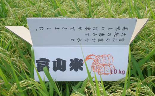 【先行予約】令和7年産 立山 天空の散歩道 吟撰米 特吟 精米 合計10kg 5kg×2袋 立山天空米 低温精米 国産 米 お米 日本米 ギフト 贈り物 備蓄 防災 食品 F6T-761